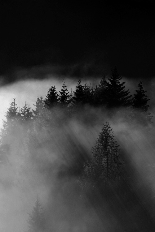 Archillect ID 21754