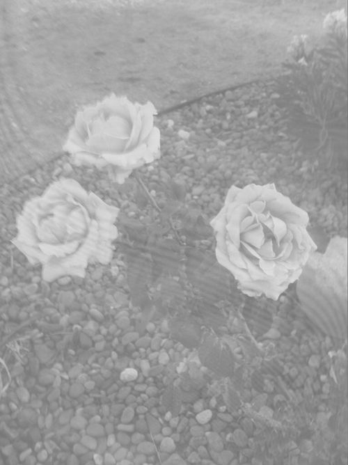 Archillect ID 21823