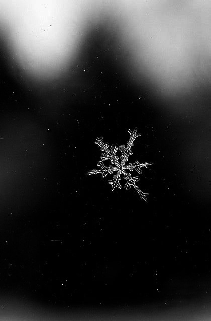 Archillect ID 21952