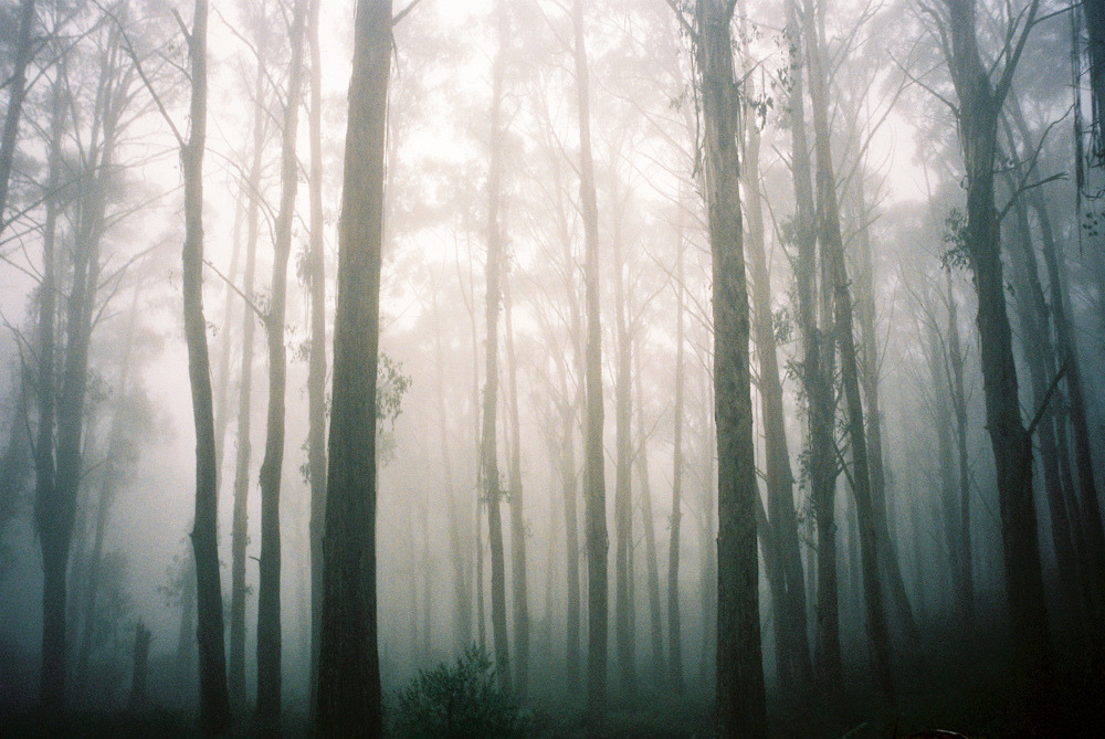 Archillect ID 22004