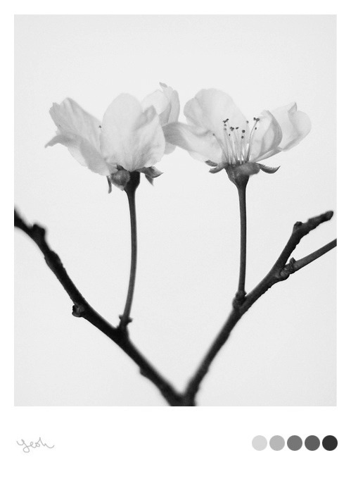 Archillect ID 22096