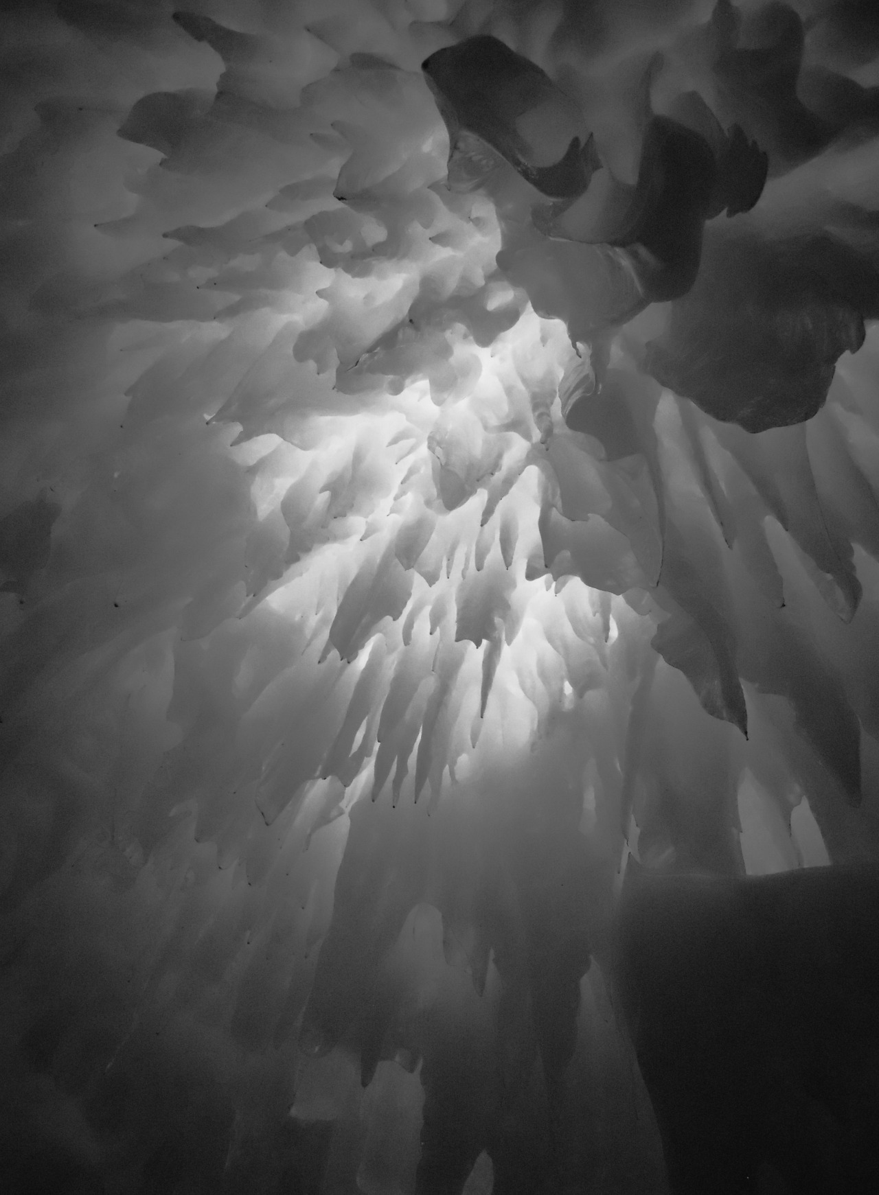 Archillect ID 22126