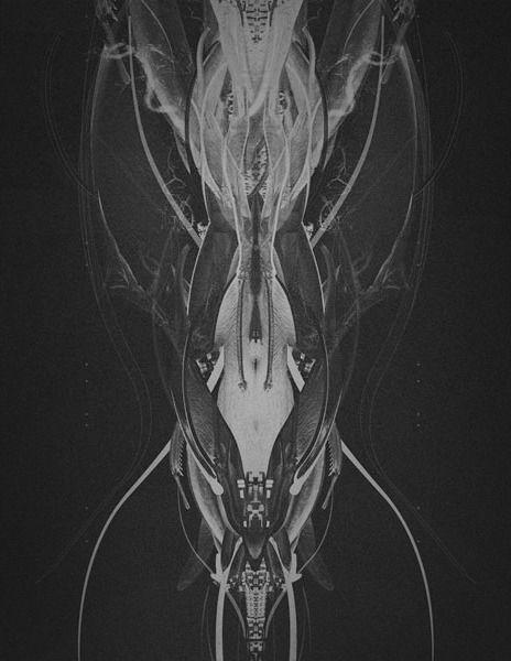 Archillect ID 22173