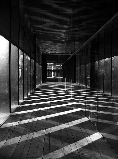 Archillect ID 22218