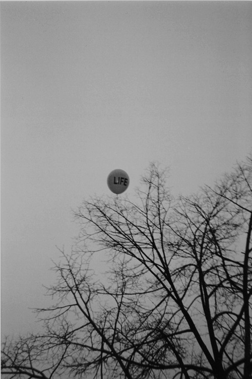 Archillect ID 22281