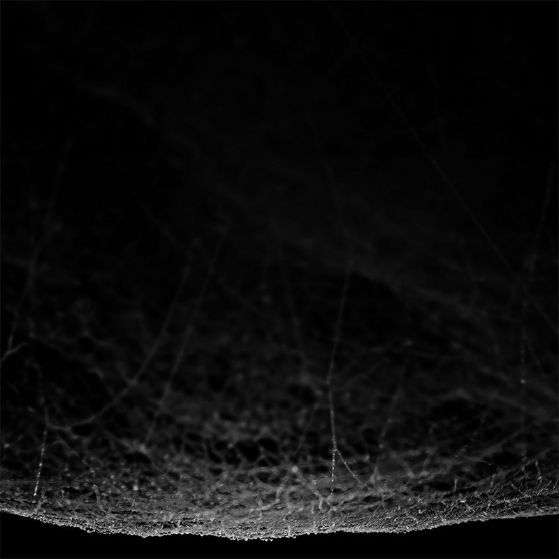 Archillect ID 22292