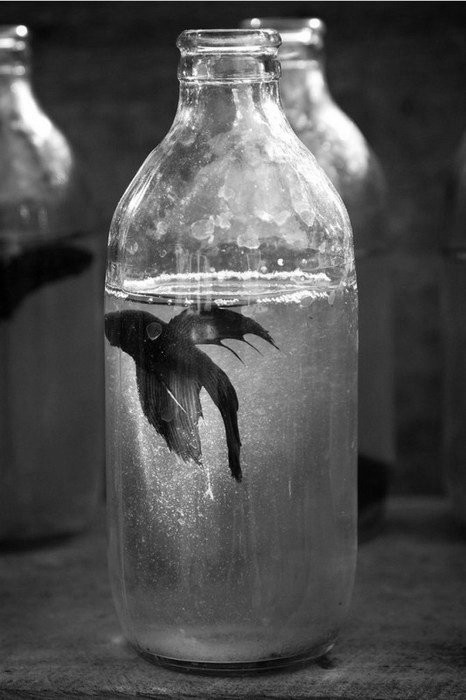 Archillect ID 22326