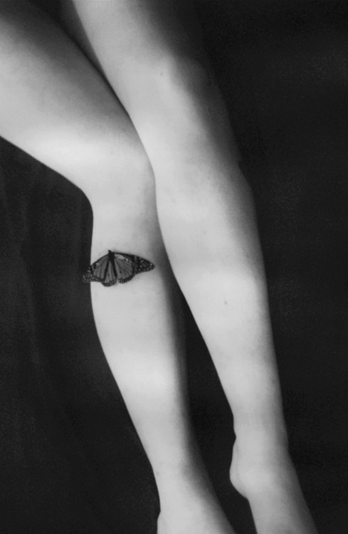 Archillect ID 22343
