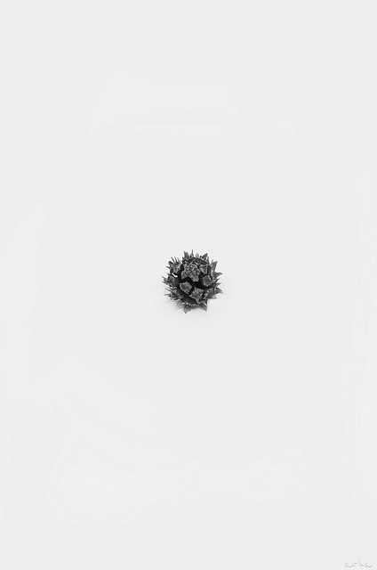 Archillect ID 22360