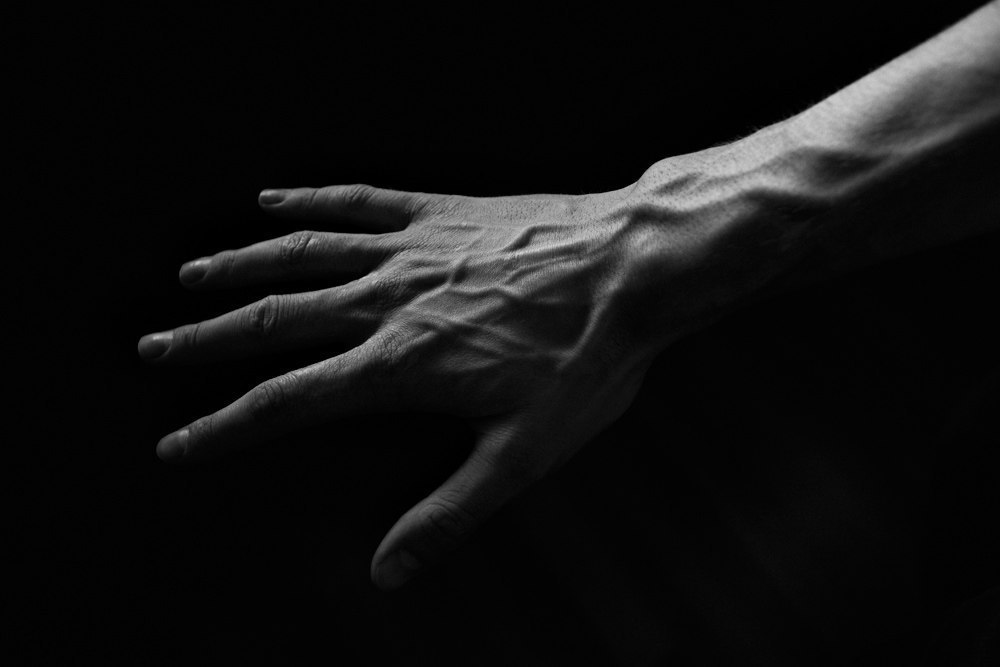 Archillect ID 22390