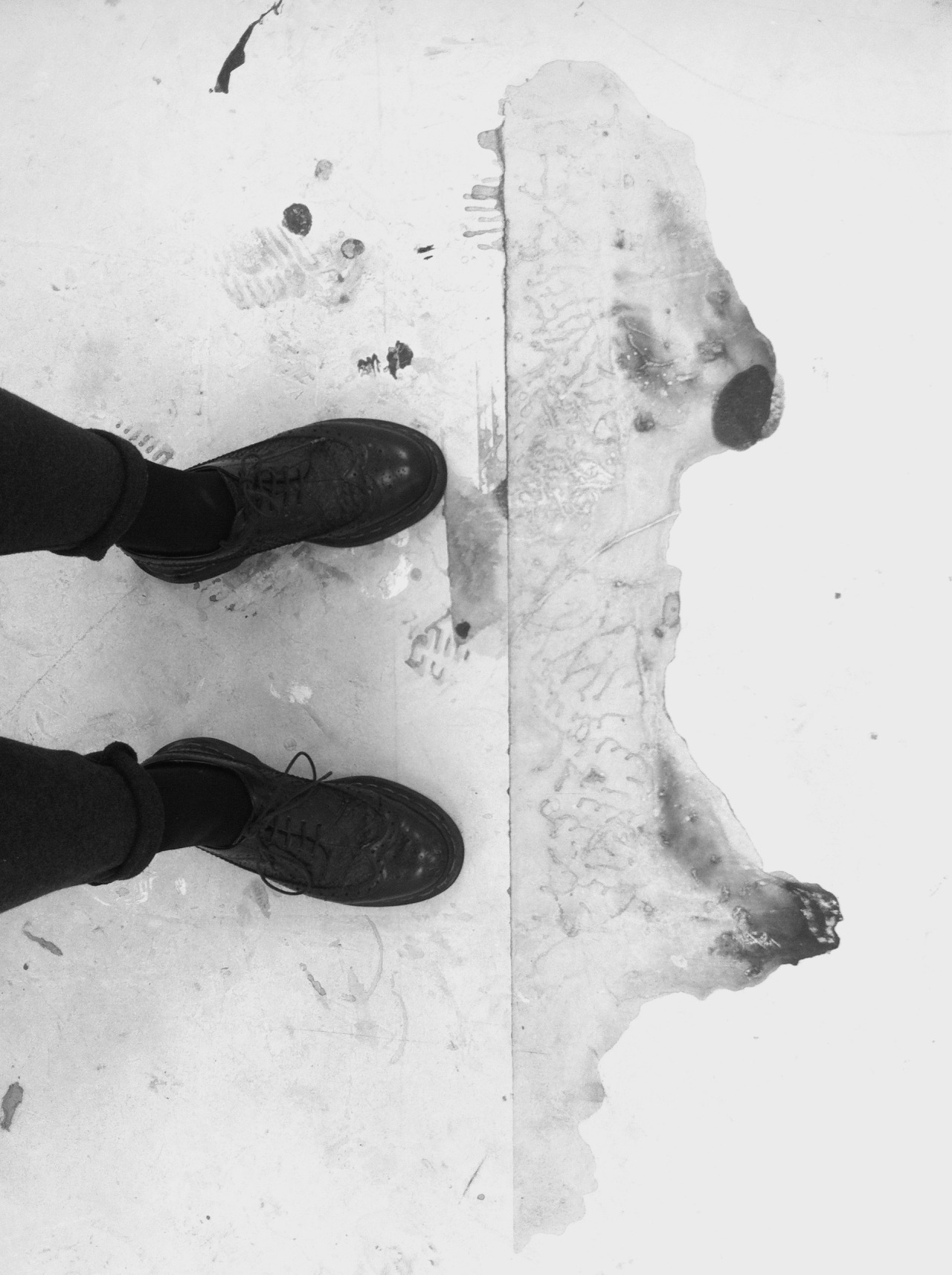 Archillect ID 22539