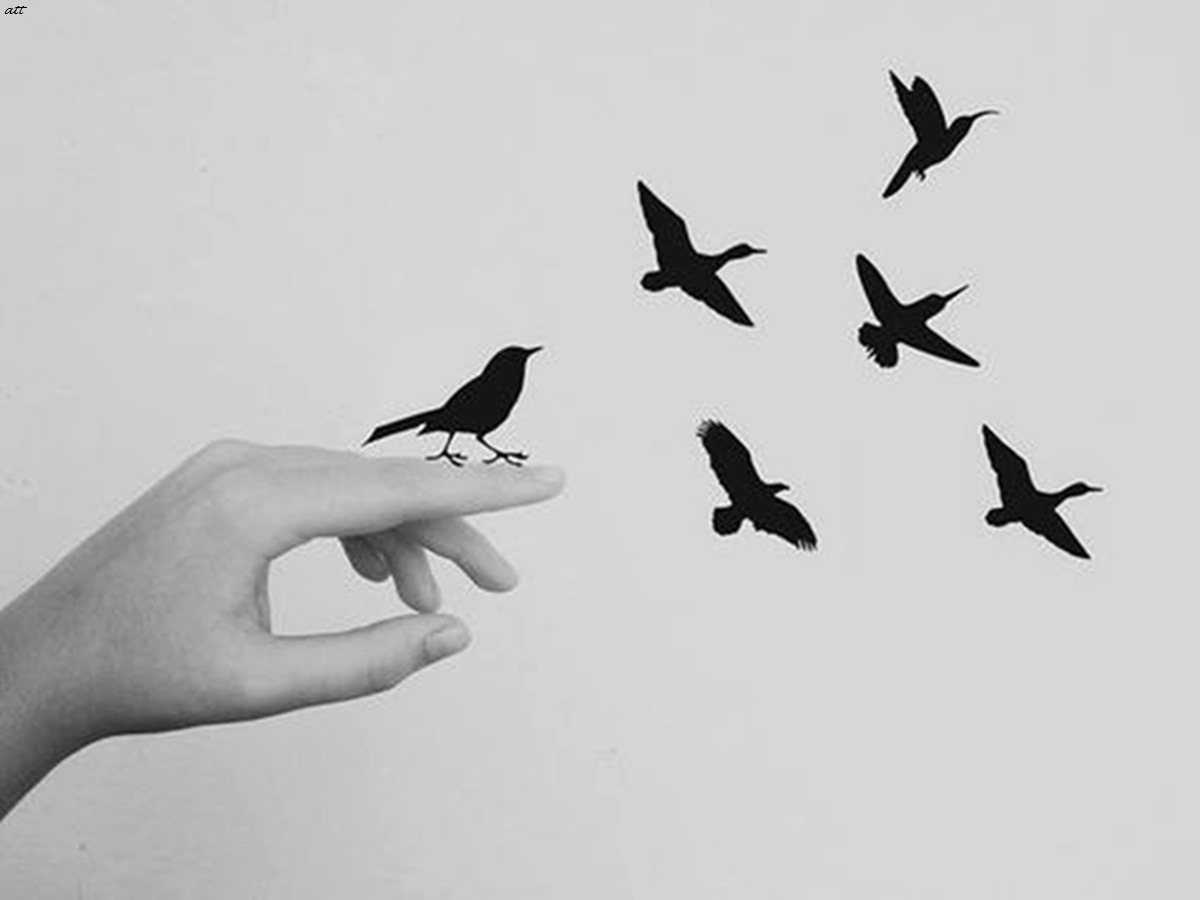 Archillect ID 22561