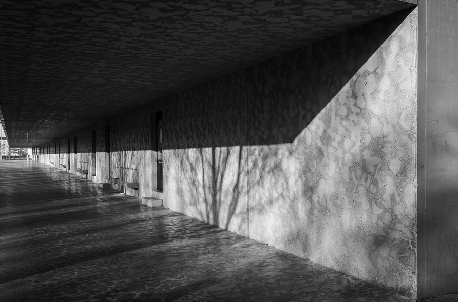 Archillect ID 22584
