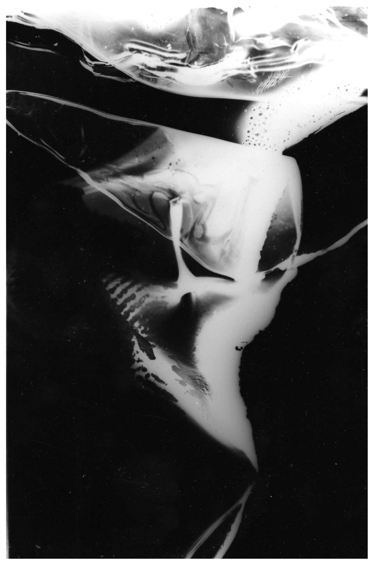 Archillect ID 22631