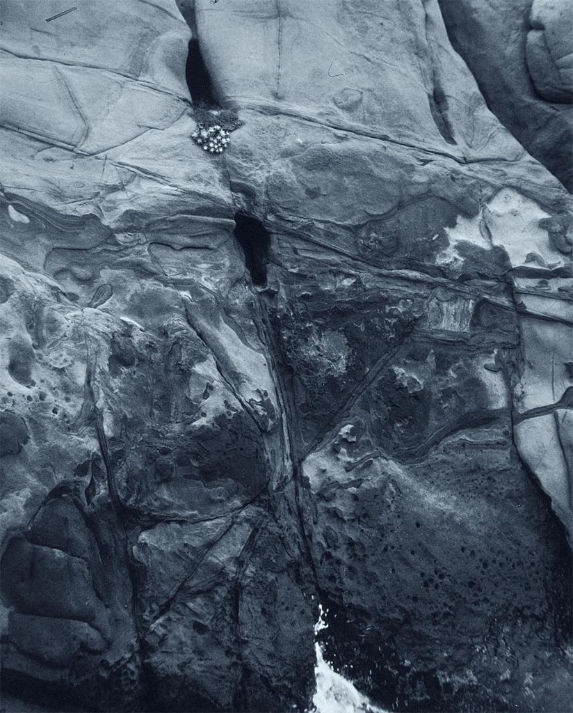 Archillect ID 22736