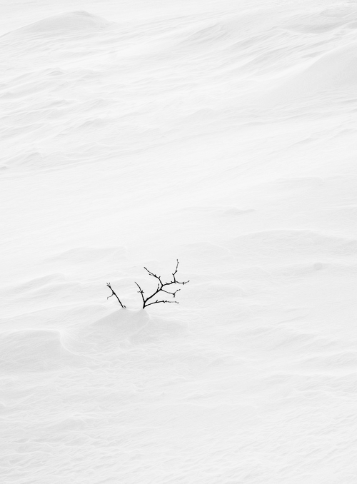 Archillect ID 22827