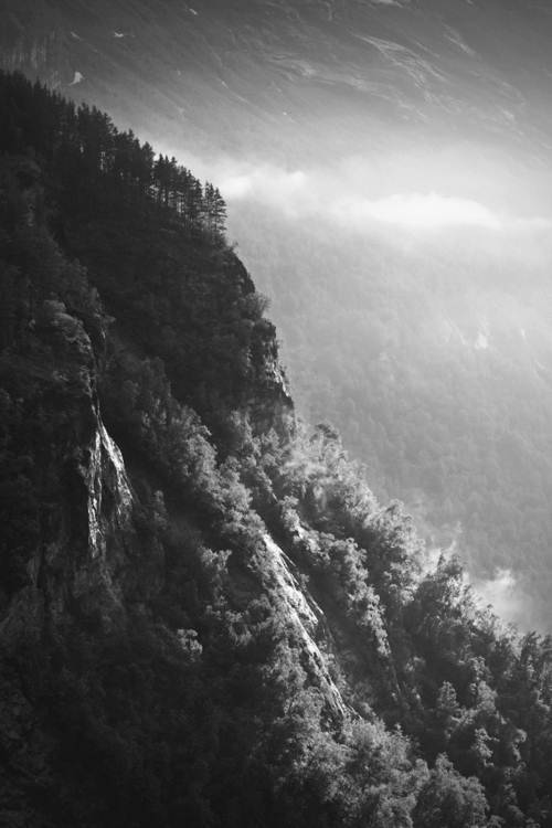 Archillect ID 22835
