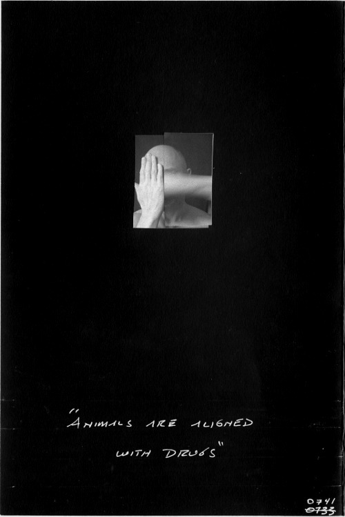 Archillect ID 22836