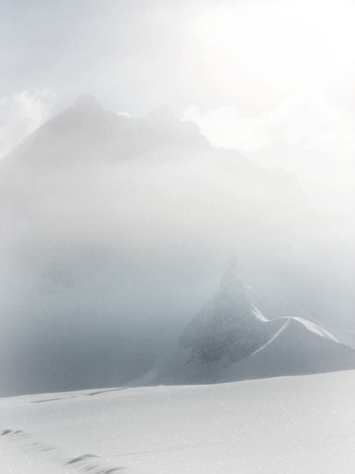 Archillect ID 22921