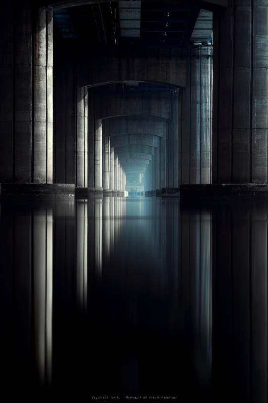 Archillect ID 23113