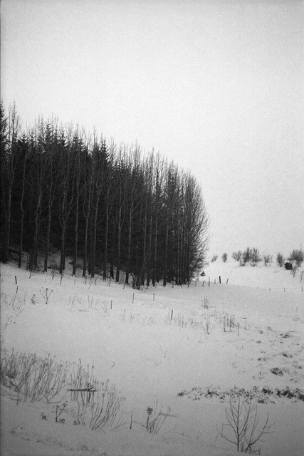 Archillect ID 23453