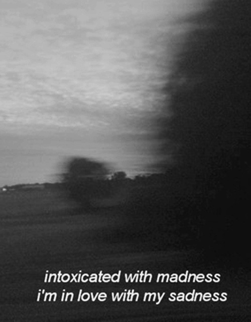 Archillect ID 23526