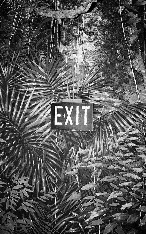 Archillect ID 23539