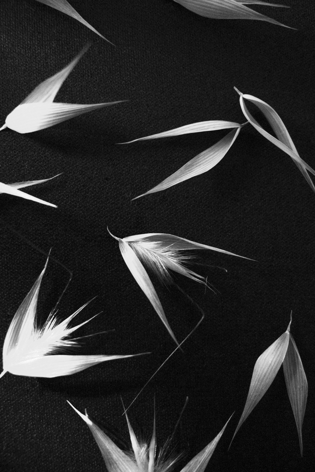 Archillect ID 23567