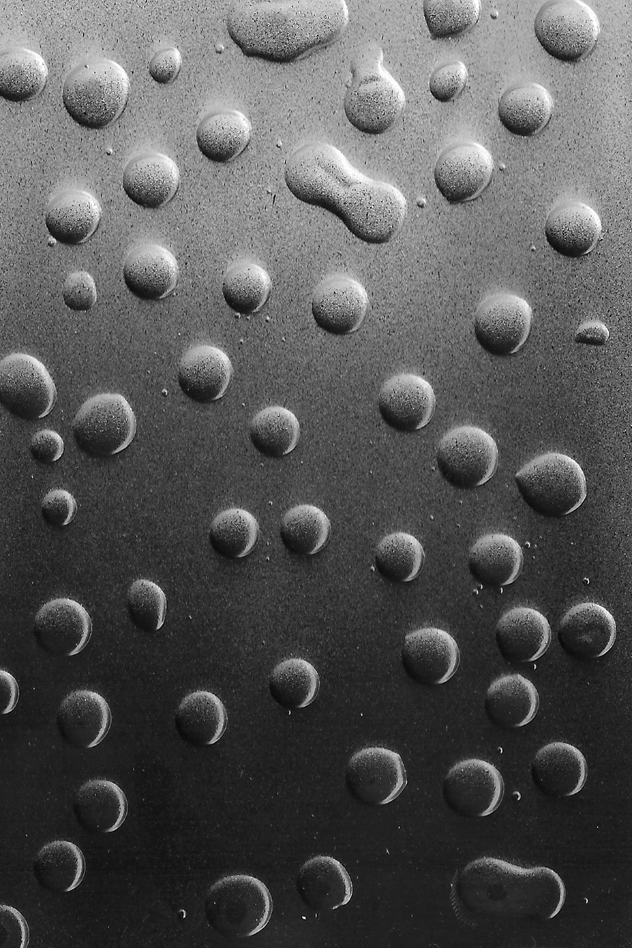 Archillect ID 23572