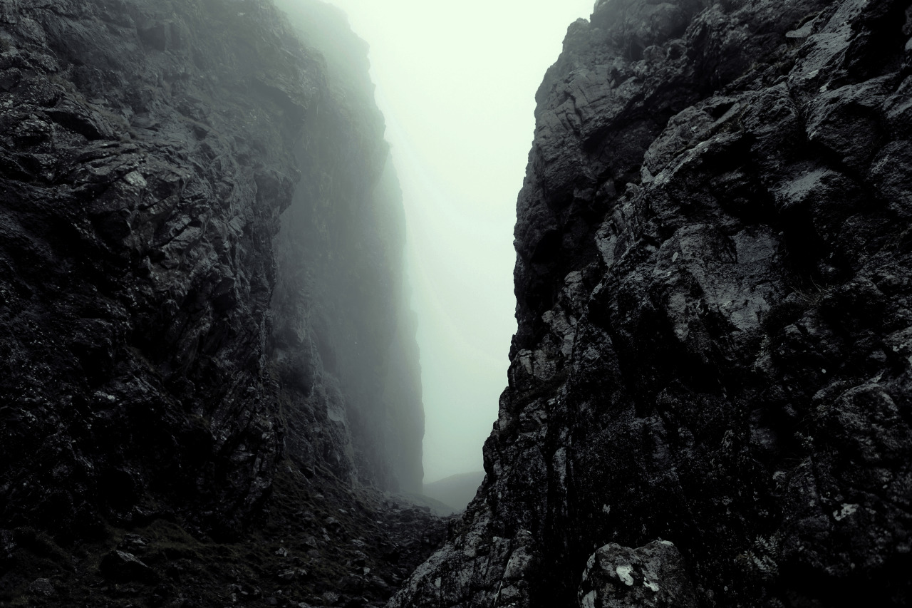 Archillect ID 23646