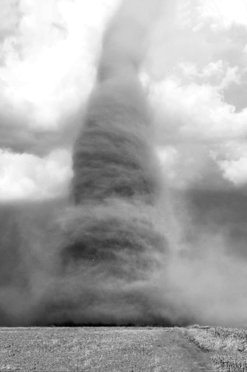 Archillect ID 23667