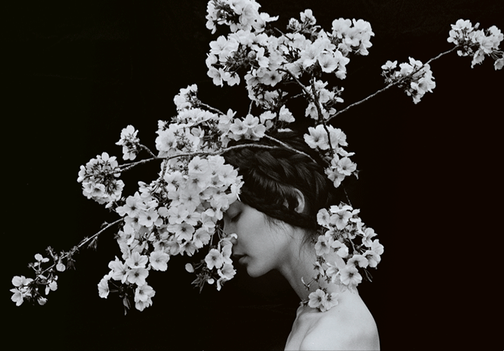 Archillect ID 23671