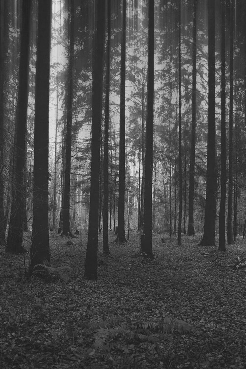 Archillect ID 23680