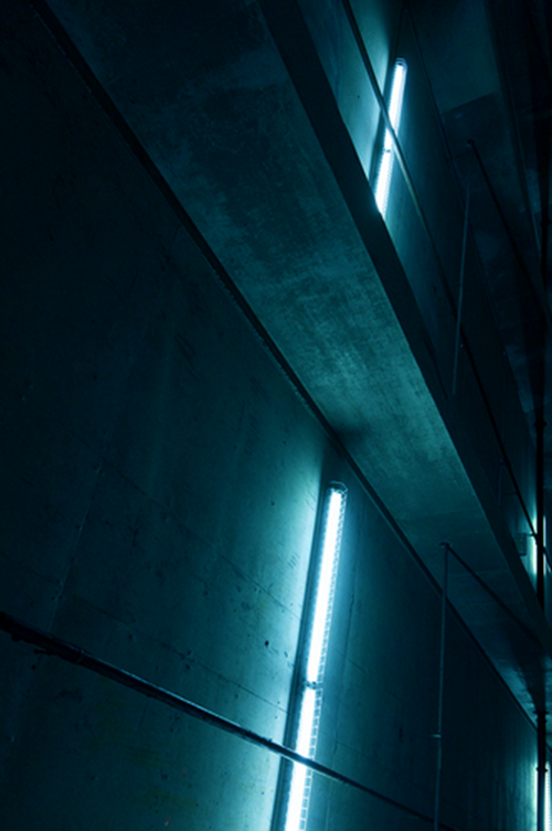 Archillect ID 23839