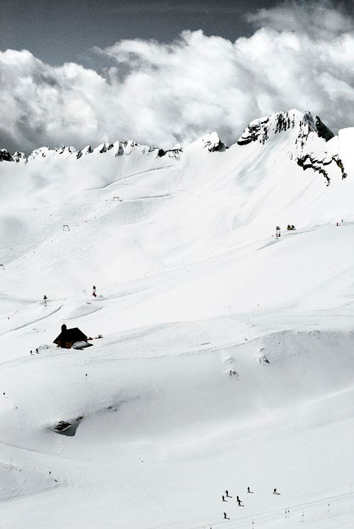 Archillect ID 23894
