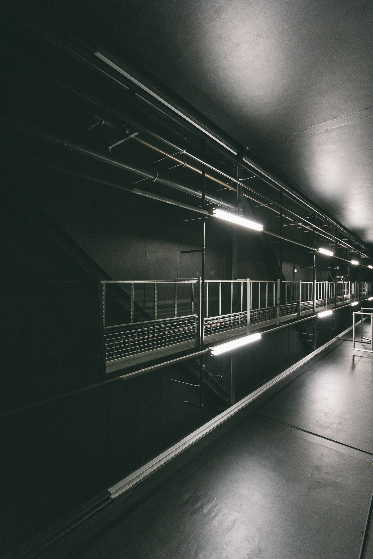 Archillect ID 23900