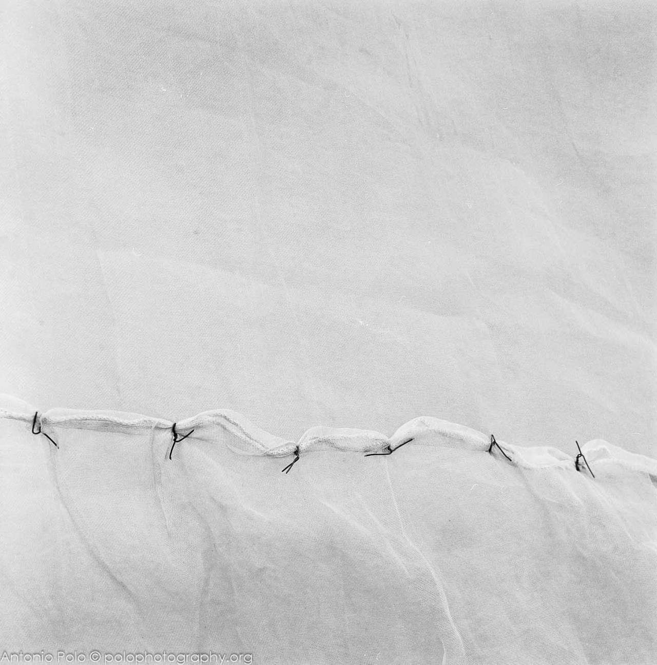 Archillect ID 23936