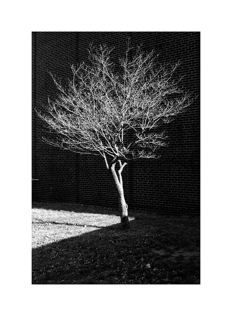 Archillect ID 24014