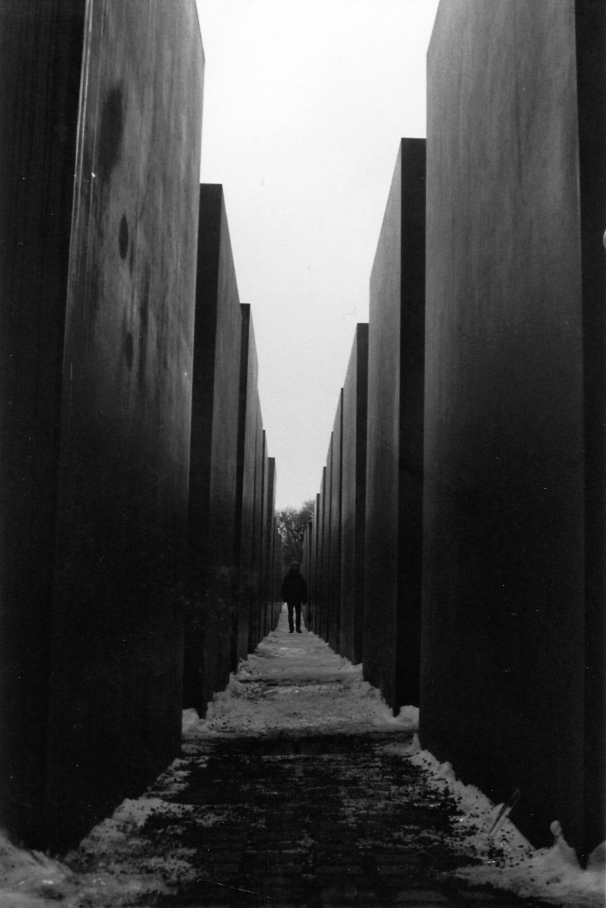 Archillect ID 24034