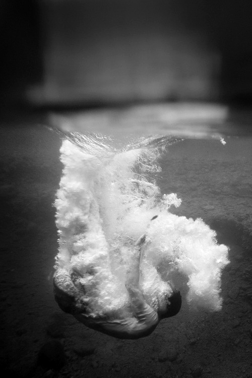 Archillect ID 24130