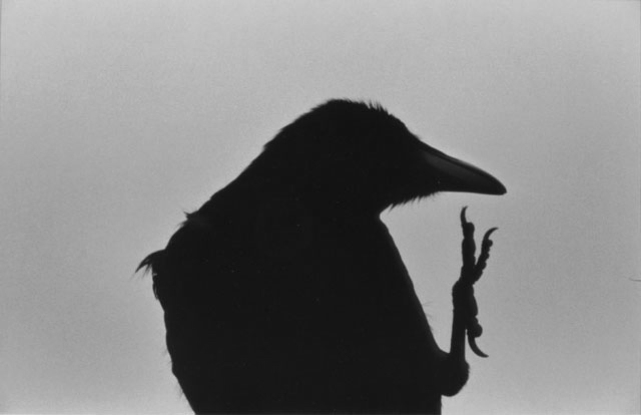 Archillect ID 24183