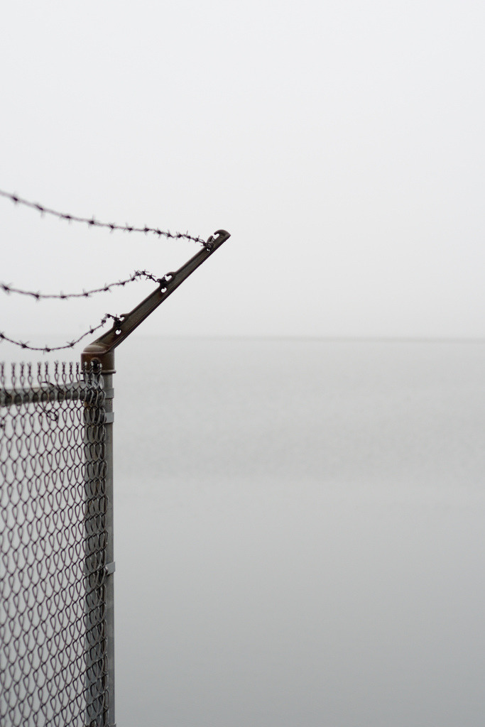 Archillect ID 24234