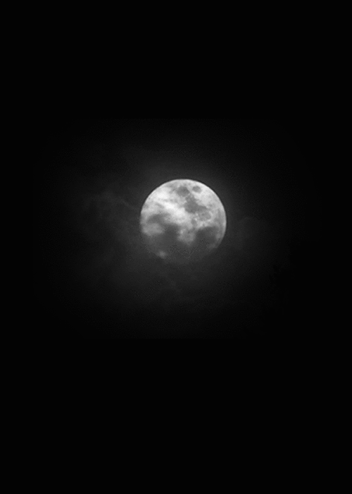 Archillect ID 24246