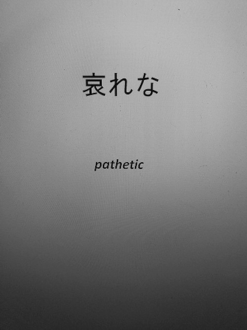 Archillect ID 24280