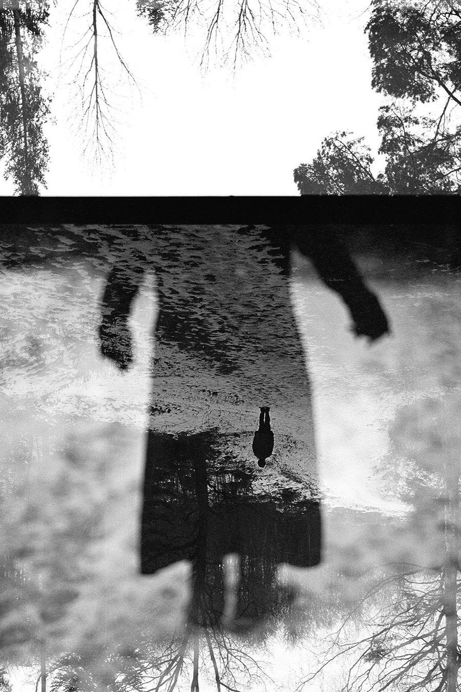 Archillect ID 24308