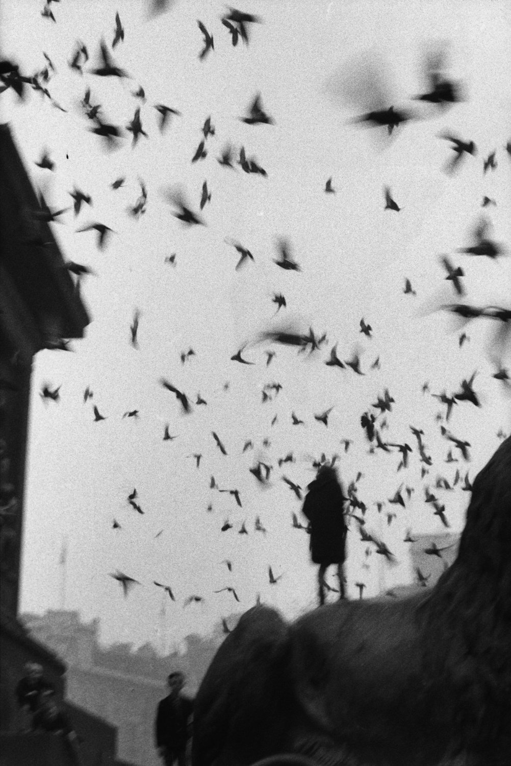 Archillect ID 24309