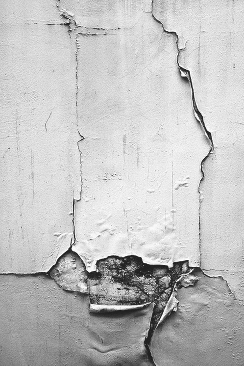 Archillect ID 24350