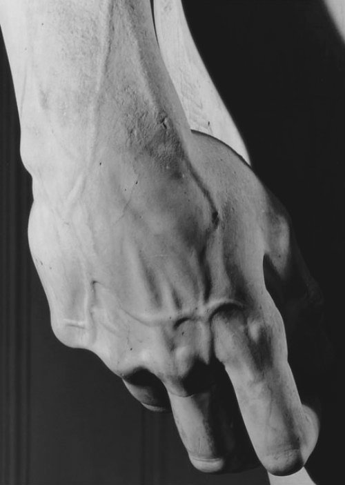 Archillect ID 24407