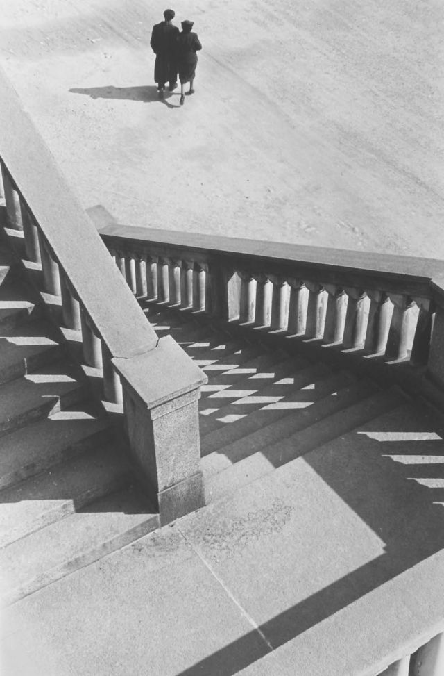 Archillect ID 24442