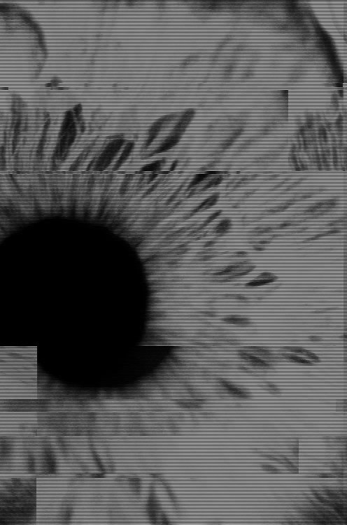 Archillect ID 24566